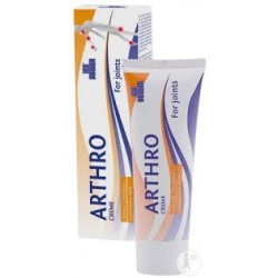 Ice Power Arthro Crème 60gr